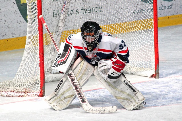 的焦点战役 的焦点战役