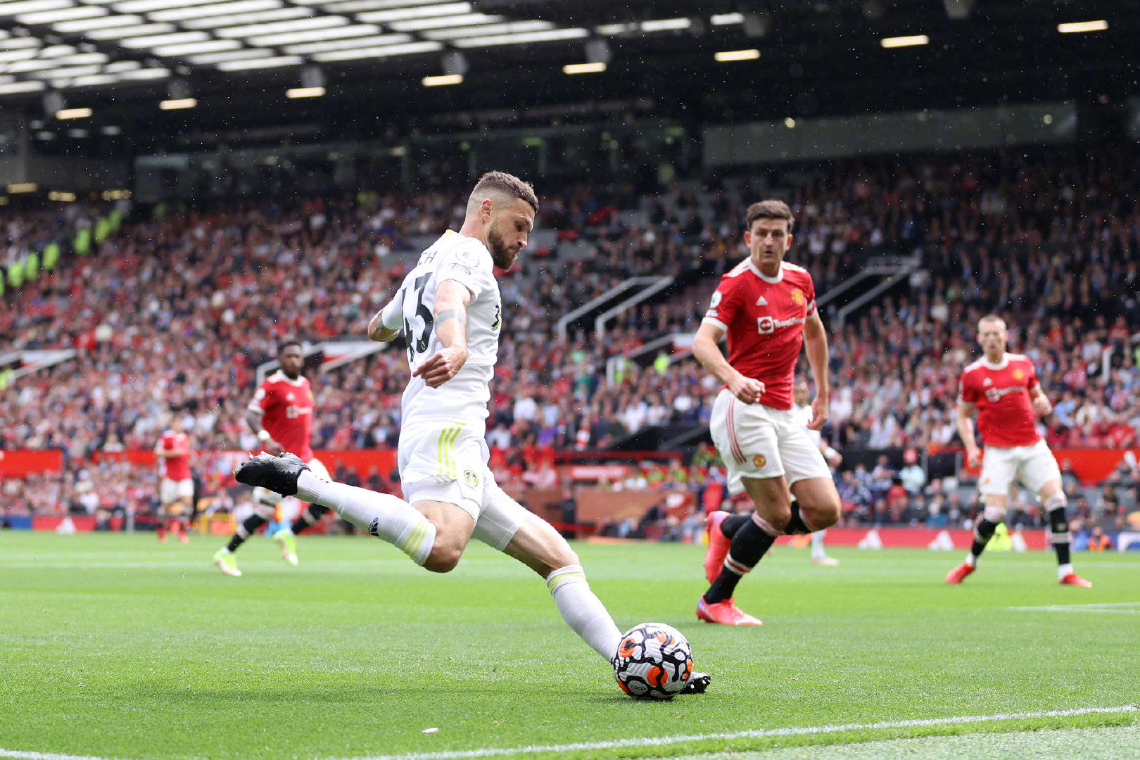 豪一直寻求 豪一直寻求